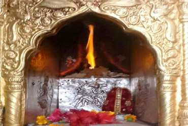 Bougainvilleas on Lombard Street,  San Francisco, Tokyo