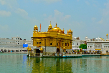 Bougainvilleas on Lombard Street,  San Francisco, Tokyo