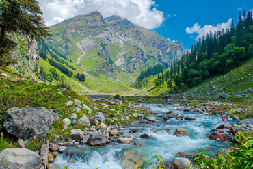 Bougainvilleas on Lombard Street,  San Francisco, Tokyo