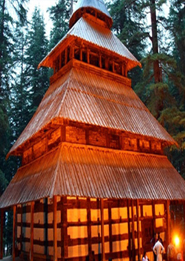 Bougainvilleas on Lombard Street,  San Francisco, Tokyo