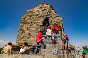 Bougainvilleas on Lombard Street,  San Francisco, Tokyo