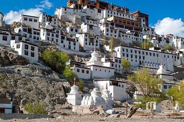 Bougainvilleas on Lombard Street,  San Francisco, Tokyo