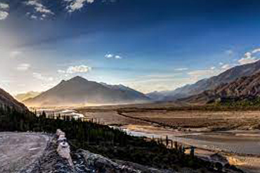 Bougainvilleas on Lombard Street,  San Francisco, Tokyo