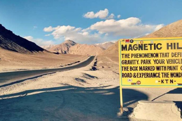 Bougainvilleas on Lombard Street,  San Francisco, Tokyo