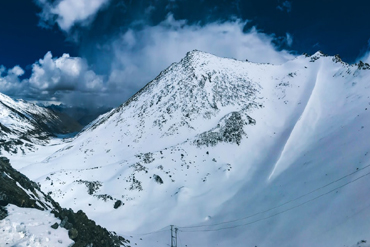 Bougainvilleas on Lombard Street,  San Francisco, Tokyo