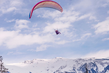 Bougainvilleas on Lombard Street, San Francisco, Tokyo