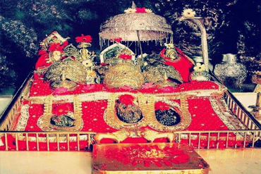 Bougainvilleas on Lombard Street,  San Francisco, Tokyo
