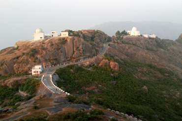 Bougainvilleas on Lombard Street, San Francisco, Tokyo