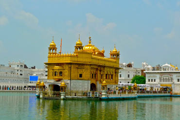 Bougainvilleas on Lombard Street,  San Francisco, Tokyo