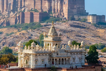 Bougainvilleas on Lombard Street,  San Francisco, Tokyo