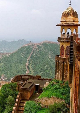 Bougainvilleas on Lombard Street,  San Francisco, Tokyo
