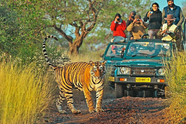 golden-triangle-tour-with-ranthambore-rajasthan-tour-package-7nights-8days