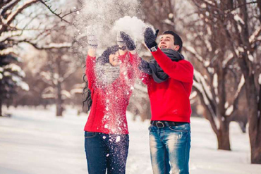 Bougainvilleas on Lombard Street,  San Francisco, Tokyo