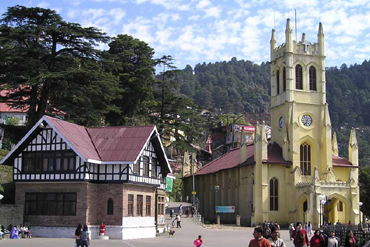 Bougainvilleas on Lombard Street,  San Francisco, Tokyo