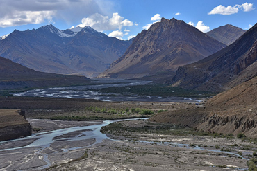 Bougainvilleas on Lombard Street,  San Francisco, Tokyo