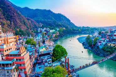 Bougainvilleas on Lombard Street,  San Francisco, Tokyo