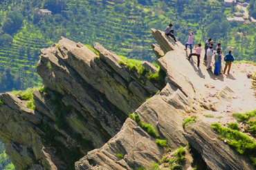 Bougainvilleas on Lombard Street, San Francisco, Tokyo