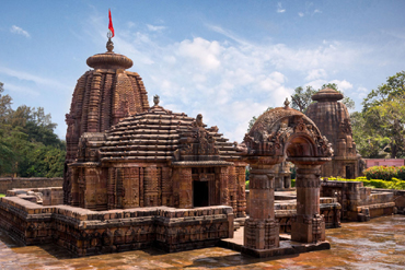 Bougainvilleas on Lombard Street,  San Francisco, Tokyo