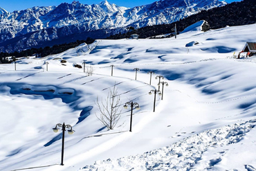 Bougainvilleas on Lombard Street,  San Francisco, Tokyo